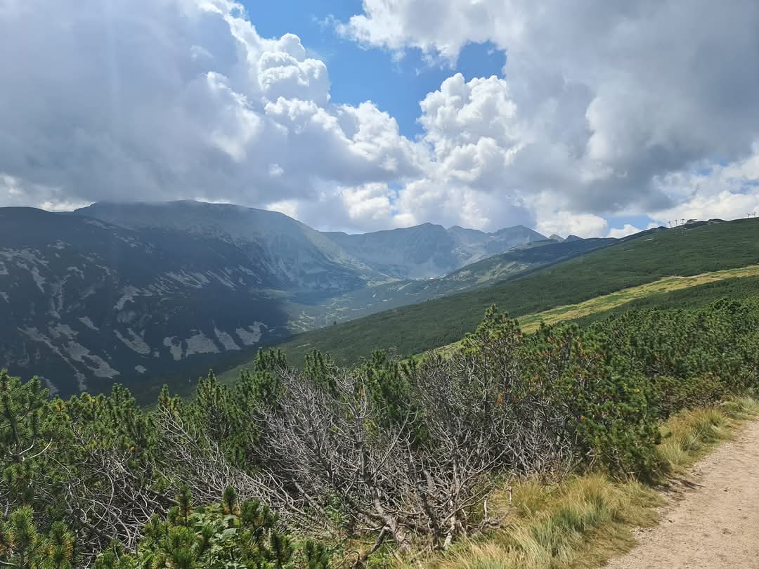 In Musala, Rila